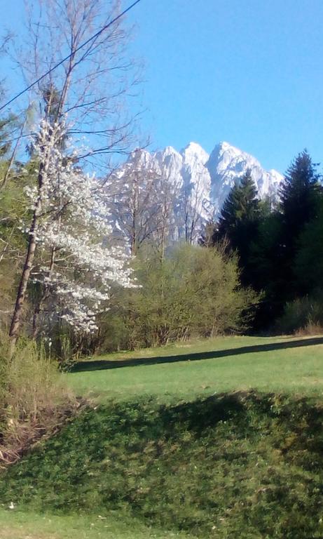 Apartments Grudnik Kranjska Gora Luaran gambar